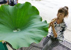 Sake drinking through lotus stem