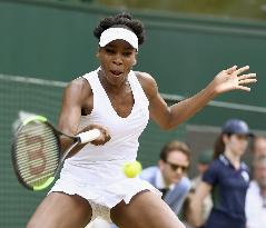 Tennis: V. Williams advances to Wimbledon final