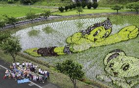 Manga characters in Japan paddy fields