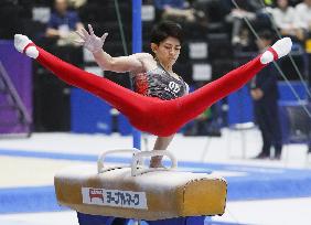 Gymnastics: Japan all-round title