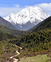 China's "most beautiful village" in Tibetan valley