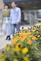 Japan sees growing number of marriages among people aged around 50