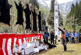 Bear festival in Japan