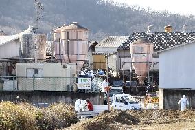 Hog cholera infection in central Japan