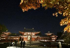 Kyoto's Byodoin lit up