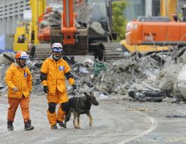 Search and rescue work in quake-hit N.Z.