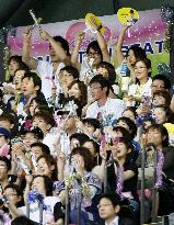 Japan ballparks in spotlight as matchmaking place