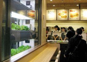 Subway Japan to open lettuce-growing restaurant
