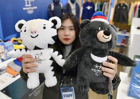 One year to Winter Olympics in Pyeongchang