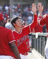 Baseball: Ohtani at Angels spring training