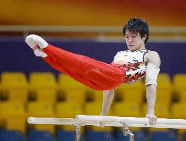 Gymnastics: Kohei Uchimura at world championships