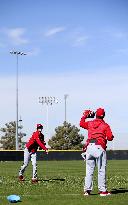 Baseball: Angels' Shohei Ohtani