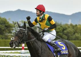 Horse racing: Take, World Premiere walk Kikka-sho red carpet