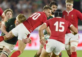 Rugby World Cup in Japan: Wales v South Africa