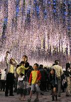 People treated to pink floral shower