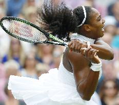 S. Williams defeats Kerber to win seventh Wimbledon title