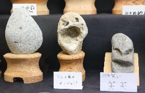 Online fame drives visitors to museum showcasing oddly shaped rocks