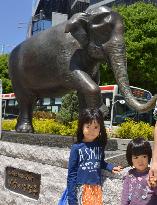 Statue of Tokyo zoo elephant Hanako unveiled 1 year after death
