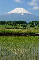 Unseasonable snow on Mt. Fuji