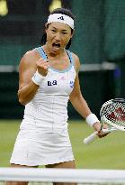 Veteran Date-Krumm defeated at Wimbledon