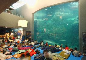 Staying overnight at Enoshima Aquarium