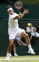 Tennis: Federer fights back to reach Wimbledon semis