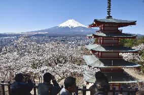 Picture-postcard view of Mt. Fuji