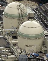 Kansai Electric restarts another reactor under post-Fukushima rules