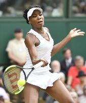 Tennis: V. Williams advances to Wimbledon final