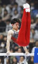 Gymnastics: Japan all-round title