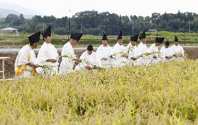 Rice-harvesting ceremony for imperial succession