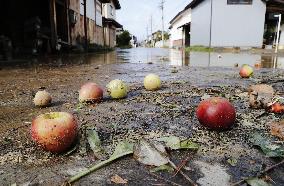 Powerful typhoon in Japan