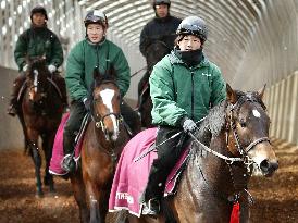 Horse racing goes from gambling to genteel pastime in Japan