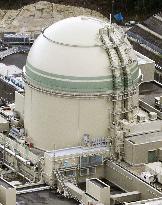 Japan restarts 2nd nuclear complex under tighter post-Fukushima rules