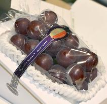 Japan's grapes fetch record 1.11 mil. yen at season's 1st auction