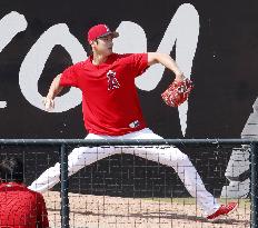 Baseball: Shohei Ohtani