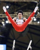 Gymnastics: Kohei Uchimura at world championships