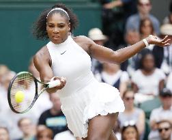 S. Williams defeats Kerber to win seventh Wimbledon title