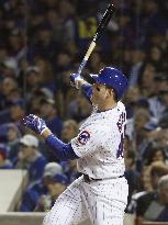 Chicago Cubs advance to World Series