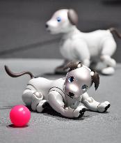 Sony unveils new AIBO robot dog