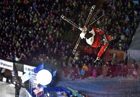 Freestyle skiing World Cup