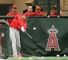 Baseball: Ohtani at Angels' spring training