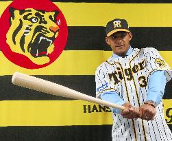 Baseball: Jefry Marte joins Hanshin Tigers