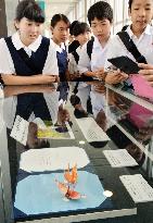 Hiroshima peace museum puts Obama's paper cranes on display