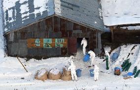 Highly pathogenic bird flu confirmed in Hokkaido