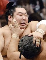 Scenes of sumo
