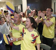 Football: Colombia vs Japan at World Cup
