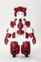 Hitachi humanoid robot