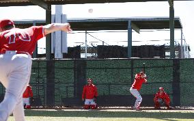 Baseball: Angels' Ohtani