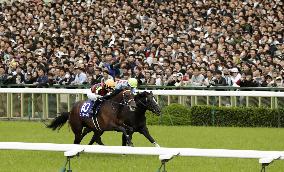 Horse racing: Fierement claims spring Tenno-sho